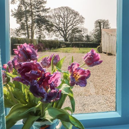 Foxglove Cottage 约克 外观 照片